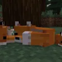 CraftMC Website