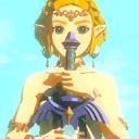 The fields of hyrule