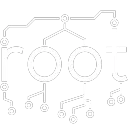 Root