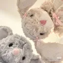 star  𝜗𝜚 ࣪˖ ⋆.˚