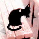 Luna Discord Server Icon