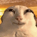 ✰𝐒𝐞𝐠𝐚✰