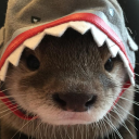 𝙏𝙃𝙀 𝙂𝘼𝙉𝙂 Discord server icon