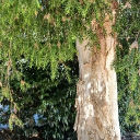 Uncreative Name! Discord server icon