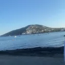 Bonkers Bananas