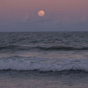 🐚𓂃 the seashore﹑𝜗𝜚 Discord server icon