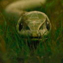 Ostara’s Gramarye