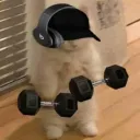 КАЧАЛКА