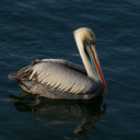 𝚖𝚒𝚔𝚘.𝚔𝚊𝚖𝚒𝚘𝚔𝚘 Discord server icon