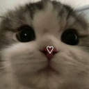 BionicPringles Discord server icon