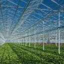 Hydro Farms