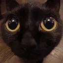 ✰ black cat cult ✰