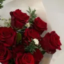 🥀˚｡⋆ɪᴄᴏɴɪᴄ