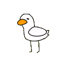Silly Flock