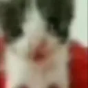 уголок кайфа гунирала