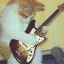 rawr xd