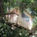 The Aught's Treehouse