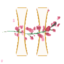 Hogwarts Home's icon