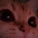 KitKat Community