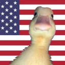 Land of the Ducks