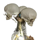 Inline Void Ch 14