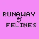 runaway felines