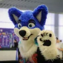 Raito Wolf's Romanian Furry Fandom