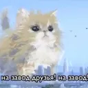 Гей Порно