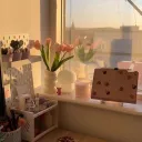 𝙲𝚘𝚣𝚢 𝚌𝚘𝚛𝚗𝚎𝚛 🍡