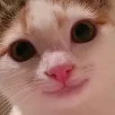 Только юмор