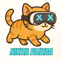Nikita Fajitaa's Game Server