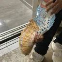 Kryq Shop