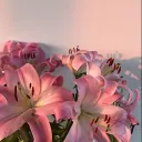 Garden of Secrets