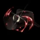 Qid's portfolio
