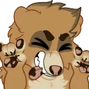 Bear Support Specialists