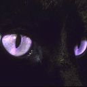 ₊˚ʚ 💫₊˚✧ ﾟ.interstellar cats Discord server icon