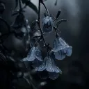 Requiem of the Equilibrium Discord Server Icon