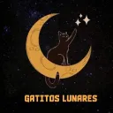 Gatitxs lunares 🐈💕