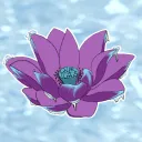 The Lotus Pond