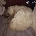 Yapville 🧀 | Social • Nitro • Events Discord server icon