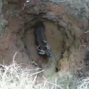 Deer Hole Extras
