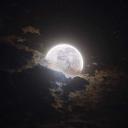 ,ø¤º°`°๑۩ ๓໐໐ຖ plคຖēt ۩๑°`º°¤ø,