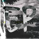 Sycos