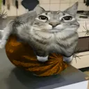 Goofy Server