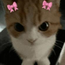 catazz cafe ₍^. .^₎⟆ 18+ Discord server icon