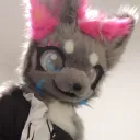FoxDen