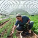 Farmers Xpress