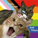 The Gays, Slays, and Theys Discord Server Icon