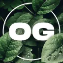 Oásis Gamer