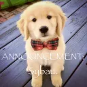 👹🔥Phonk & Anime Server💀😈's icon